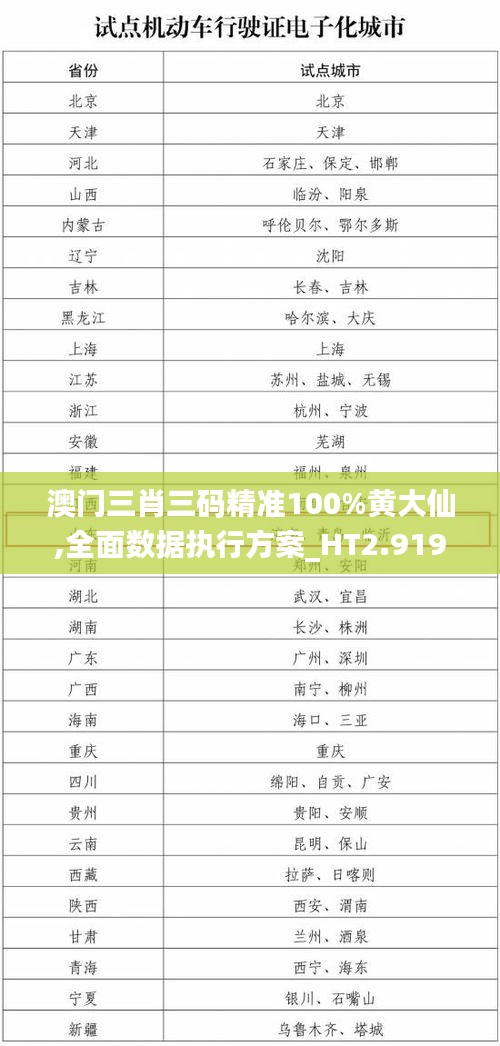 澳门三肖三码精准100%黄大仙,全面数据执行方案_HT2.919