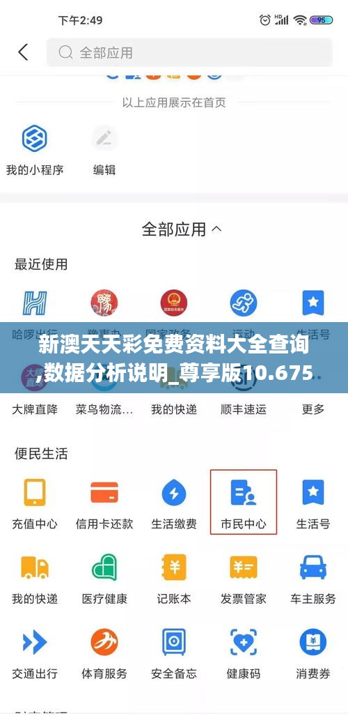 新澳天天彩免费资料大全查询,数据分析说明_尊享版10.675