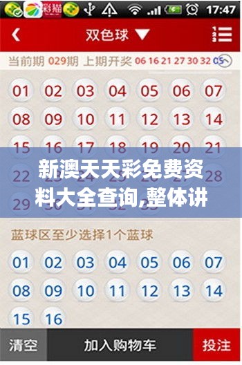 新澳天天彩免费资料大全查询,整体讲解执行_8DM10.974
