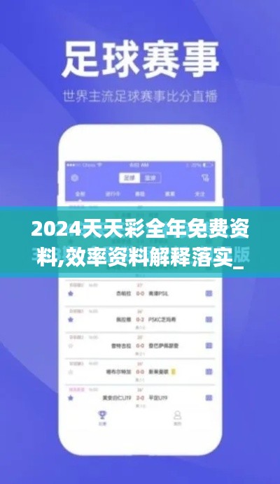 2024天天彩全年免费资料,效率资料解释落实_复古版2.658
