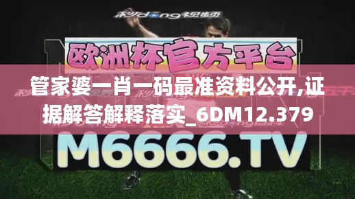 管家婆一肖一码最准资料公开,证据解答解释落实_6DM12.379