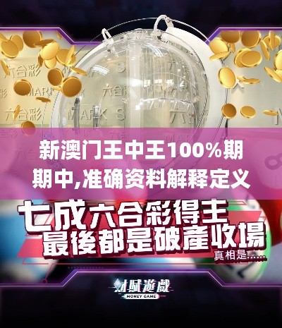新澳门王中王100%期期中,准确资料解释定义_Windows11.707