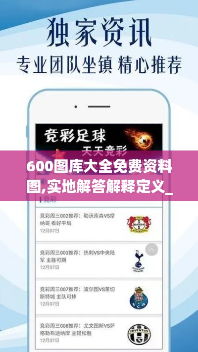600图库大全免费资料图,实地解答解释定义_限量款5.724