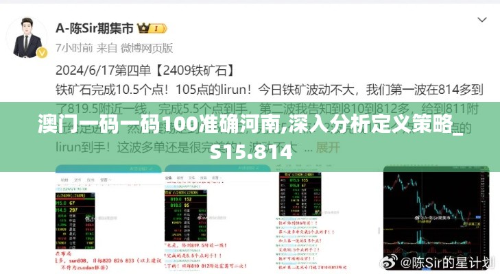澳门一码一码100准确河南,深入分析定义策略_S15.814