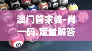 澳门管家婆-肖一码,定量解答解释定义_7DM13.827