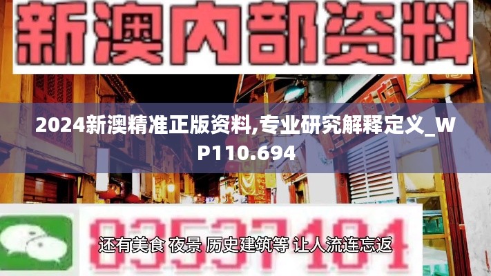 2024新澳精准正版资料,专业研究解释定义_WP110.694