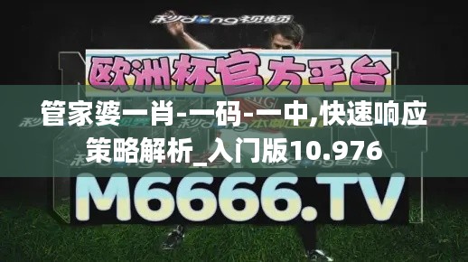 管家婆一肖-一码-一中,快速响应策略解析_入门版10.976