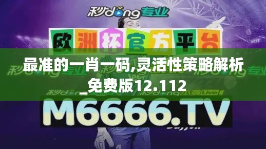 最准的一肖一码,灵活性策略解析_免费版12.112