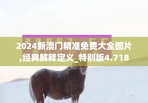2024新澳门精准免费大全图片,经典解释定义_特别版4.718