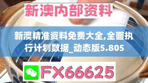 新澳精准资料免费大全,全面执行计划数据_动态版5.805