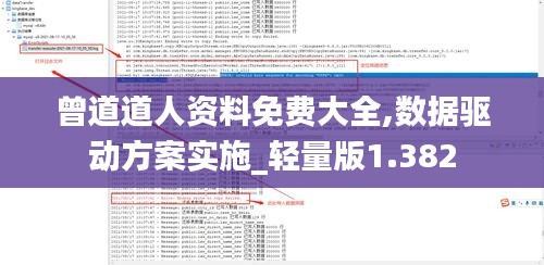 曾道道人资料免费大全,数据驱动方案实施_轻量版1.382