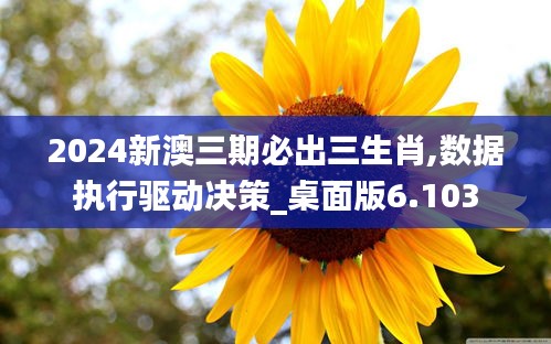 2024新澳三期必出三生肖,数据执行驱动决策_桌面版6.103