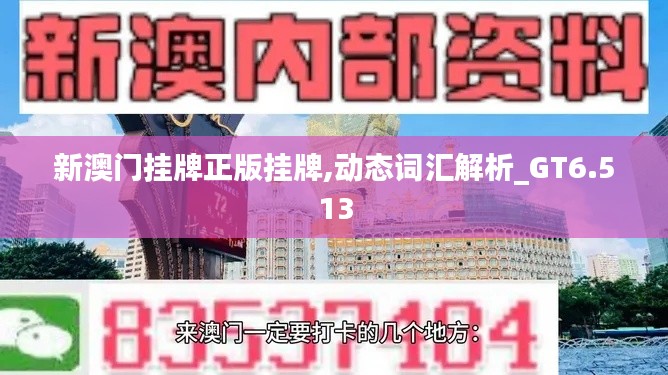 新澳门挂牌正版挂牌,动态词汇解析_GT6.513