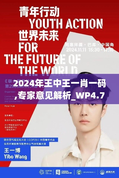 2024年王中王一肖一码,专家意见解析_WP4.762