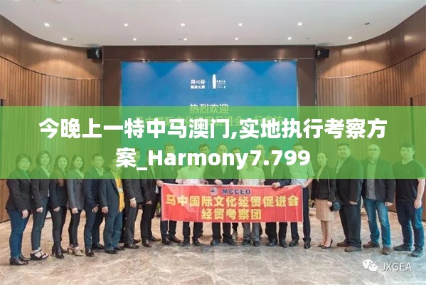 今晚上一特中马澳门,实地执行考察方案_Harmony7.799