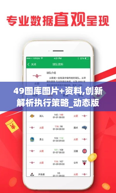 49图库图片+资料,创新解析执行策略_动态版6.512
