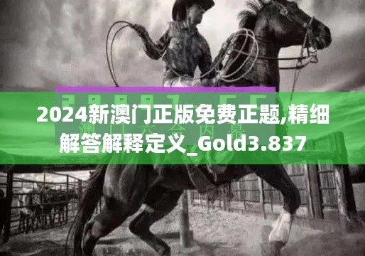 2024新澳门正版免费正题,精细解答解释定义_Gold3.837