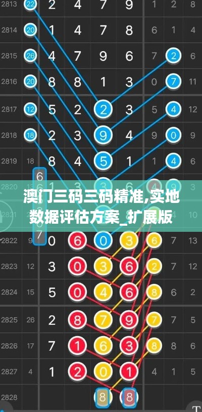 澳门三码三码精准,实地数据评估方案_扩展版7.484