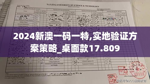 2024新澳一码一特,实地验证方案策略_桌面款17.809
