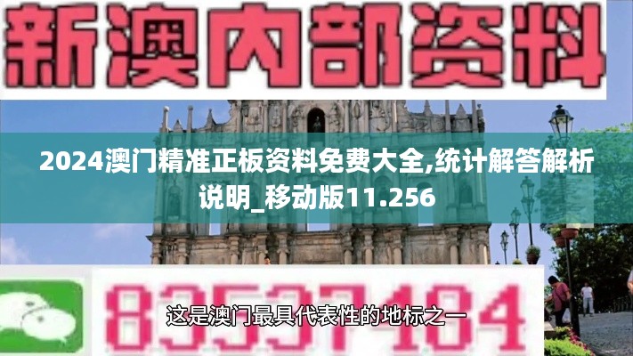 2024澳门精准正板资料免费大全,统计解答解析说明_移动版11.256
