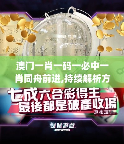 澳门一肖一码一必中一肖同舟前进,持续解析方案_交互版17.477
