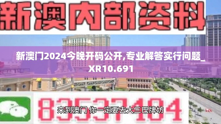 新澳门2024今晚开码公开,专业解答实行问题_XR10.691