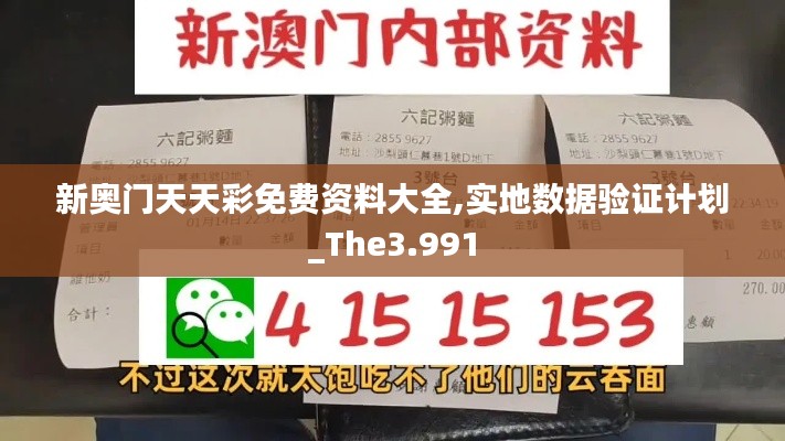 新奥门天天彩免费资料大全,实地数据验证计划_The3.991