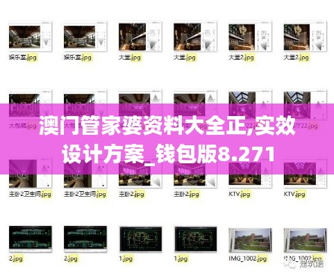 澳门管家婆资料大全正,实效设计方案_钱包版8.271