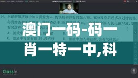 澳门一码-码一肖一特一中,科学评估解析说明_经典版6.749