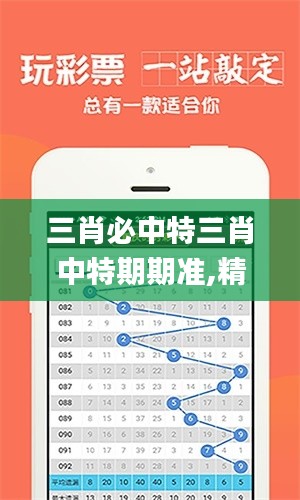 三肖必中特三肖中特期期准,精细执行计划_8DM1.665