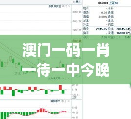 澳门一码一肖一待一中今晚,实地调研解释定义_N版3.584