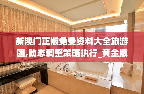 新澳门正版免费资料大全旅游团,动态调整策略执行_黄金版3.685