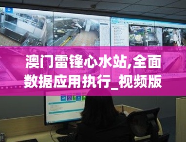 澳门雷锋心水站,全面数据应用执行_视频版4.560