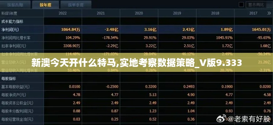 新澳今天开什么特马,实地考察数据策略_V版9.333