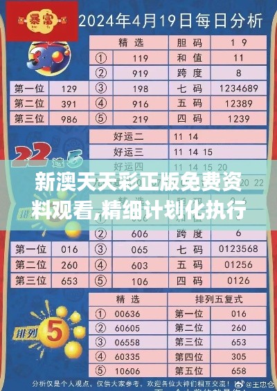 新澳天天彩正版免费资料观看,精细计划化执行_CT1.461