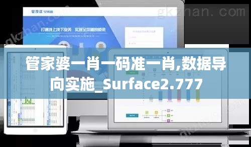 管家婆一肖一码准一肖,数据导向实施_Surface2.777