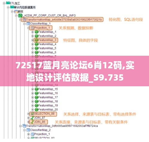 72517蓝月亮论坛6肖12码,实地设计评估数据_S9.735