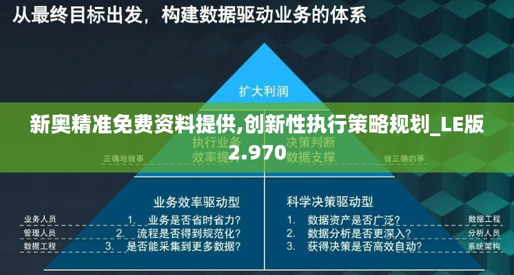 新奥精准免费资料提供,创新性执行策略规划_LE版2.970