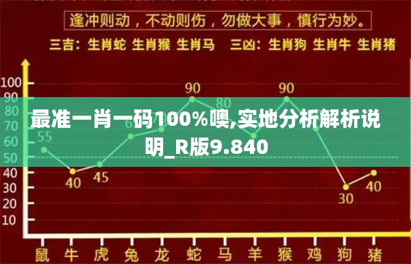 最准一肖一码100%噢,实地分析解析说明_R版9.840