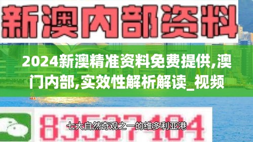 2024新澳精准资料免费提供,澳门内部,实效性解析解读_视频版1.681