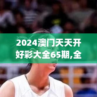 2024澳门天天开好彩大全65期,全面实施数据分析_网页款10.817
