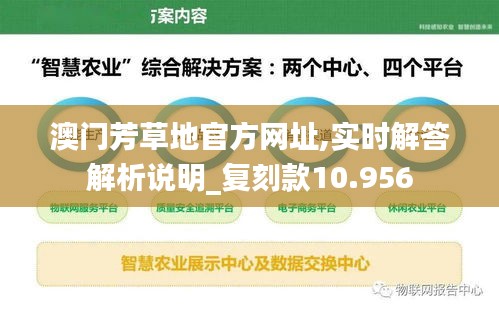 澳门芳草地官方网址,实时解答解析说明_复刻款10.956