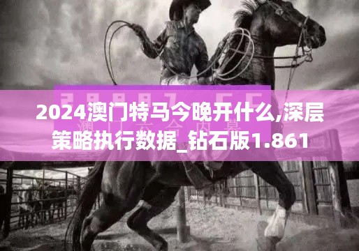2024澳门特马今晚开什么,深层策略执行数据_钻石版1.861