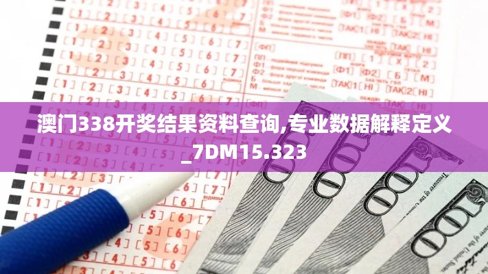 澳门338开奖结果资料查询,专业数据解释定义_7DM15.323
