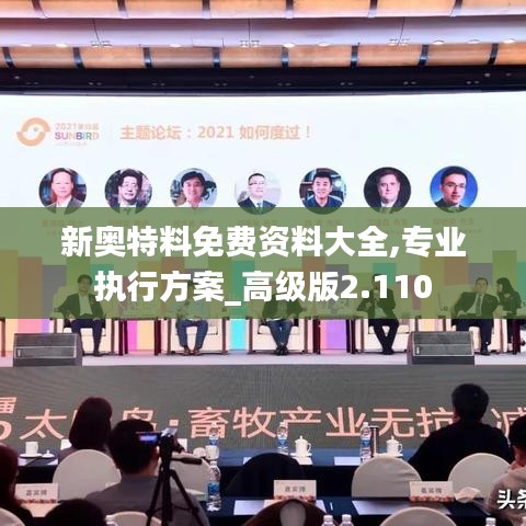 新奥特料免费资料大全,专业执行方案_高级版2.110