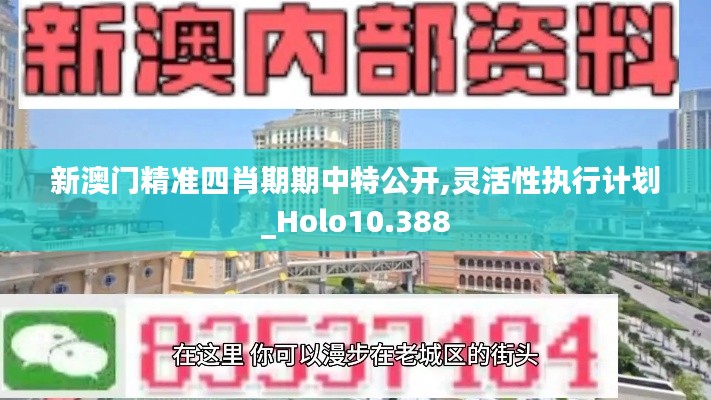 新澳门精准四肖期期中特公开,灵活性执行计划_Holo10.388