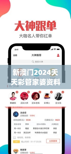 新澳门2024天天彩管家婆资料,深入分析定义策略_策略版2.580