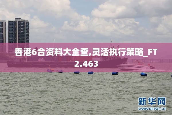 香港6合资料大全查,灵活执行策略_FT2.463