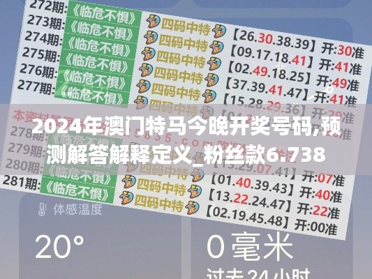 2024年澳门特马今晚开奖号码,预测解答解释定义_粉丝款6.738