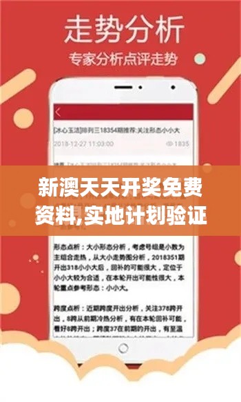 新澳天天开奖免费资料,实地计划验证策略_网页款3.536